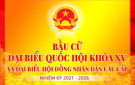 Một số quy định về nộp hồ sơ ứng cử đại biểu Quốc hội khóa XV và ứng cử đại biểu HĐND các cấp nhiệm kỳ 2021-2026