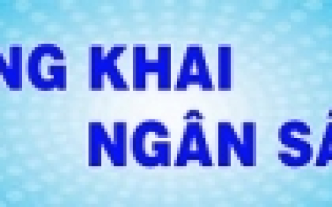 Báo cáo ước thực hiện dự toán ngân sách nhà nước năm 2018, dự toán thu - chi ngân sách nhà nước và phương án phân bổ ngân sách cấp thành phố năm 2019