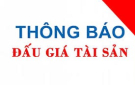 Lựa chọn tổ chức đấu giá tài sản