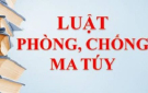 Phần 2:  Kiểm soát các hoạt động hợp pháp liên quan đến ma túy - Quản lý người sử dụng trái phép chất ma túy