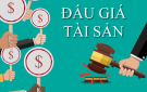 Thành phố Thanh Hóa tổ chức đấu giá tài sản là quyền sử dụng đất