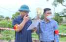 Thành phố Thanh Hóa thực hiện cưỡng chế 29 hộ đất nông nghiệp