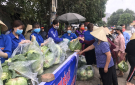 Chung tay giải cứu nông sản Hải Dương