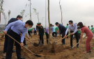 Thành phố Thanh Hoá trồng hoa ban do huyện Điện Biên Đông lưu niệm