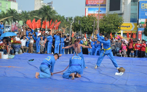 Hội diễn các câu lạc bộ võ Vivonam Thanh Hóa 2015 – Mừng Đảng – Mừng Xuân Ất Mùi