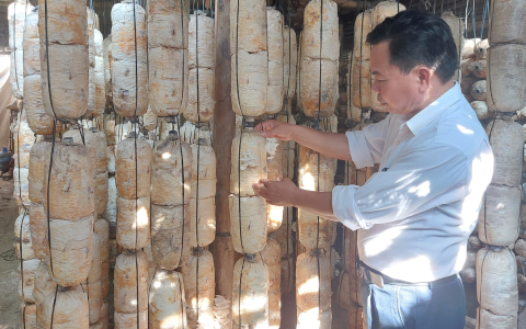 Người nông dân vượt khó, làm giàu