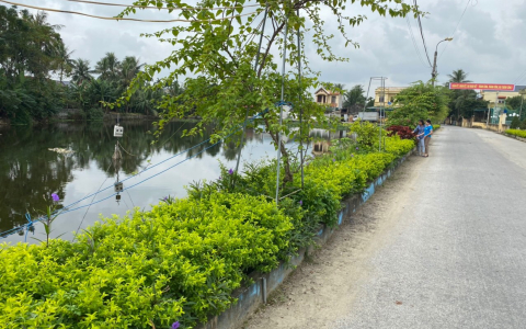 Rực rỡ những tuyến đường hoa của phụ nữ thành phố Thanh Hóa