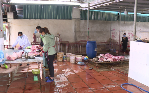 Tăng cường kiểm soát cơ sở giết mổ gia súc gia cầm